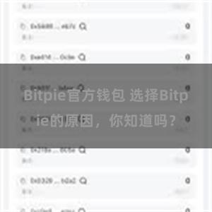 Bitpie官方钱包 选择Bitpie的原因，你知道吗？