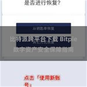 比特派跨平台下载 Bitpie数字资产安全保障指南