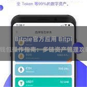 Bitpie官方应用 Bitpie钱包操作指南：多链资产管理攻略