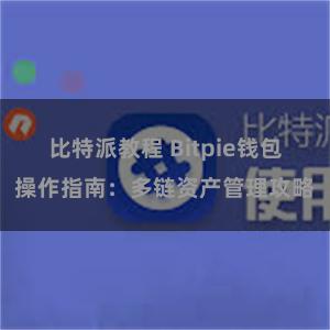 比特派教程 Bitpie钱包操作指南：多链资产管理攻略