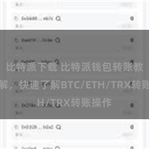 比特派下载 比特派钱包转账教程详解，快速了解BTC/ETH/TRX转账操作