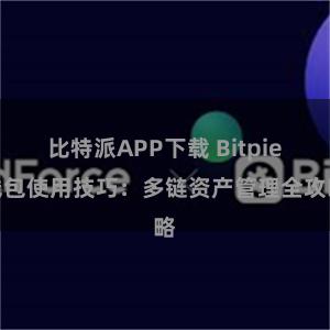 比特派APP下载 Bitpie钱包使用技巧：多链资产管理全攻略