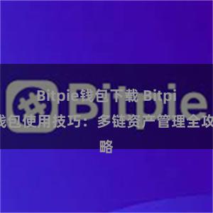 Bitpie钱包下载 Bitpie钱包使用技巧：多链资产管理全攻略