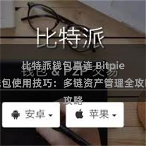 比特派钱包直连 Bitpie钱包使用技巧：多链资产管理全攻略