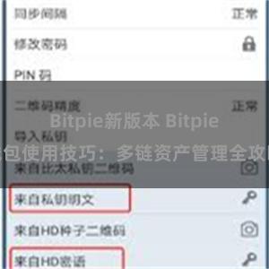 Bitpie新版本 Bitpie钱包使用技巧：多链资产管理全攻略