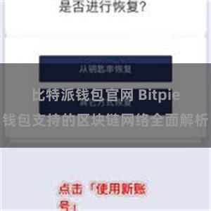 比特派钱包官网 Bitpie钱包支持的区块链网络全面解析