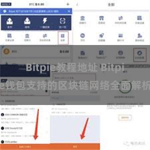 Bitpie教程地址 Bitpie钱包支持的区块链网络全面解析