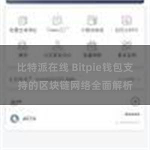 比特派在线 Bitpie钱包支持的区块链网络全面解析