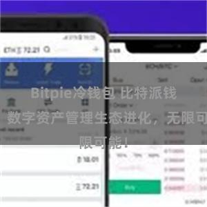Bitpie冷钱包 比特派钱包：数字资产管理生态进化，无限可能！