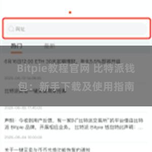 Bitpie教程官网 比特派钱包：新手下载及使用指南