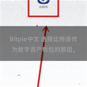 Bitpie中文 选择比特派作为数字资产钱包的原因。