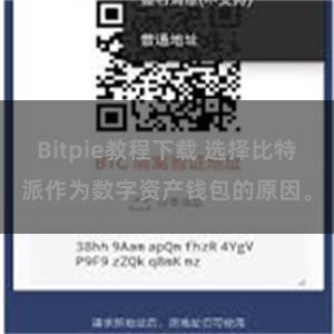 Bitpie教程下载 选择比特派作为数字资产钱包的原因。