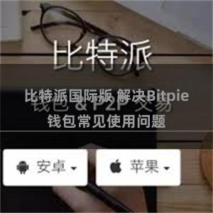 比特派国际版 解决Bitpie钱包常见使用问题