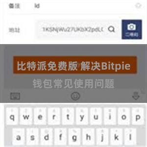 比特派免费版 解决Bitpie钱包常见使用问题