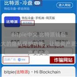 Bitpie中文 比特派钱包：强大的隐私保护功能，让您资产更安全