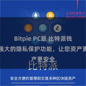 Bitpie PC版 比特派钱包：强大的隐私保护功能，让您资产更安全