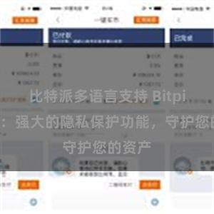 比特派多语言支持 Bitpie钱包：强大的隐私保护功能，守护您的资产