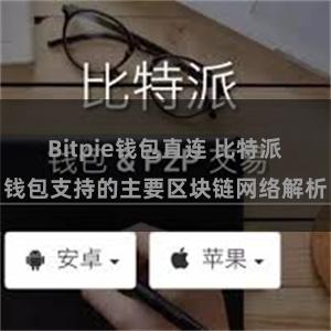 Bitpie钱包直连 比特派钱包支持的主要区块链网络解析