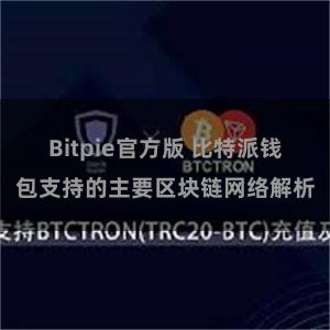 Bitpie官方版 比特派钱包支持的主要区块链网络解析