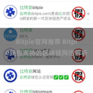 Bitpie官网推荐 Bitpie钱包支持的区块链网络解析