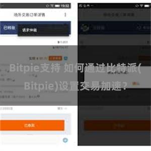 Bitpie支持 如何通过比特派(Bitpie)设置交易加速？