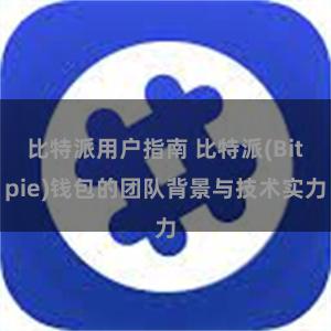 比特派用户指南 比特派(Bitpie)钱包的团队背景与技术实力