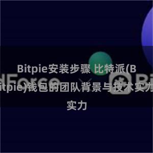 Bitpie安装步骤 比特派(Bitpie)钱包的团队背景与技术实力