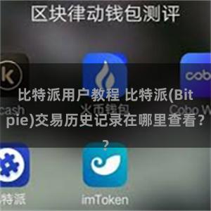 比特派用户教程 比特派(Bitpie)交易历史记录在哪里查看？