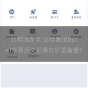 比特派新手 比特派(Bitpie)交易历史记录在哪里查看？