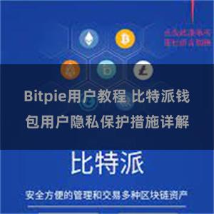 Bitpie用户教程 比特派钱包用户隐私保护措施详解