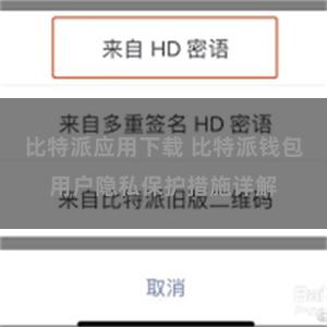 比特派应用下载 比特派钱包用户隐私保护措施详解