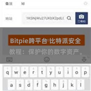 Bitpie跨平台 比特派安全教程：保护你的数字资产。