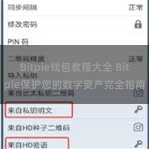 Bitpie钱包教程大全 Bitpie保护您的数字资产完全指南