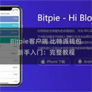 Bitpie客户端 比特派钱包新手入门：完整教程