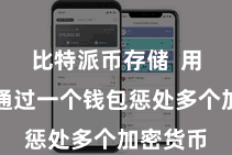 比特派币存储  用户不错通过一个钱包惩处多个加密货币