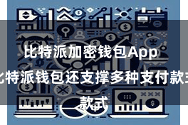 比特派加密钱包App  比特派钱包还支撑多种支付款式
