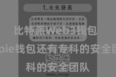 比特派Web3钱包  Bitpie钱包还有专科的安全团队
