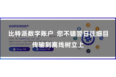 比特派数字账户  您不错翌日往细目传输到离线树立上